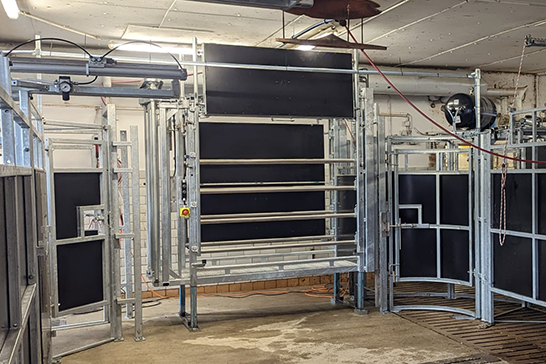 2023 - Untersuchungsstand 06